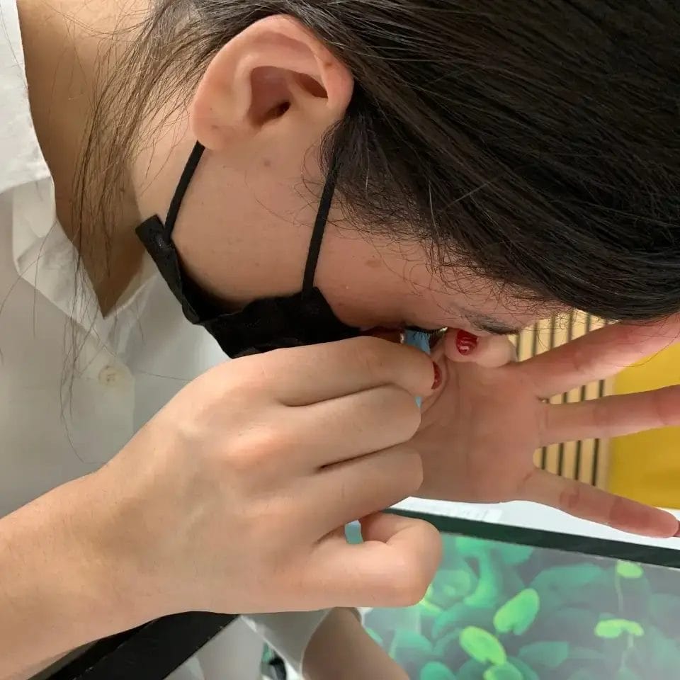 The Fitting Process