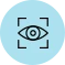 Icon primary