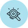 Icon vision